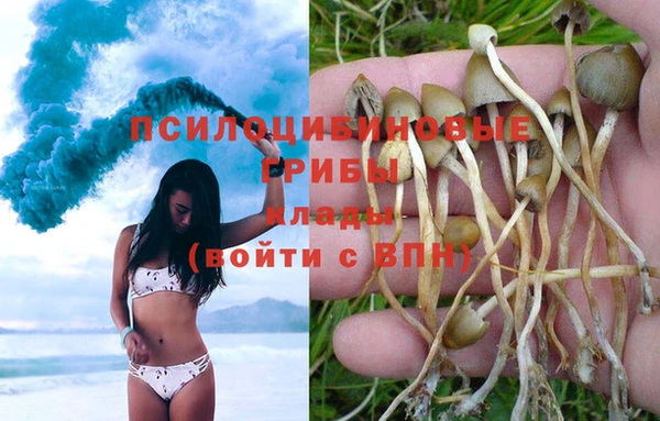 таблы Вязьма